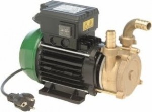 tellarini pump